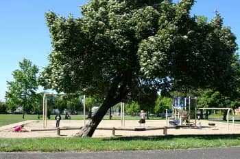 Play area and park setting at Washington Park in Eugene, home to the seasonal spray play area.