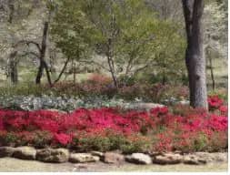 Play area at Honor Heights Park in Muskogee.