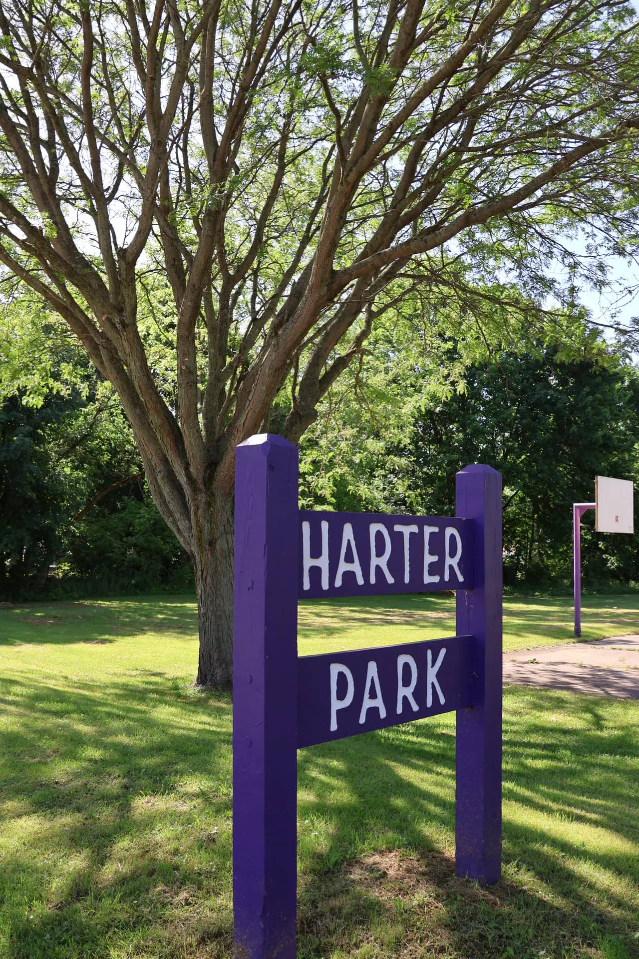 Edgewood Park Spray Ground photo 2
