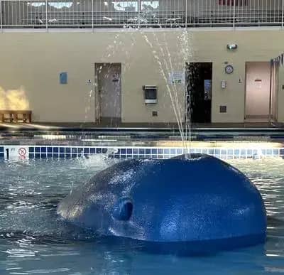 Tot pool with small slide at Bill Heddles Recreation Center in Delta.